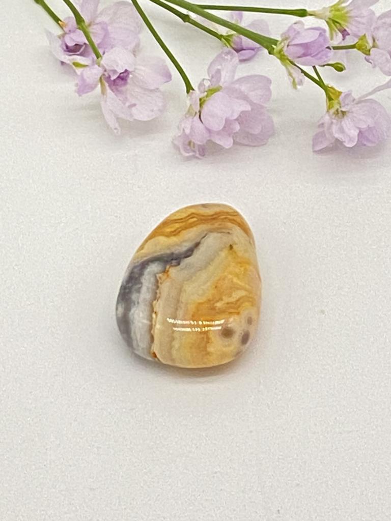 Cracy Lace Agate Teardrop Stone Drilled