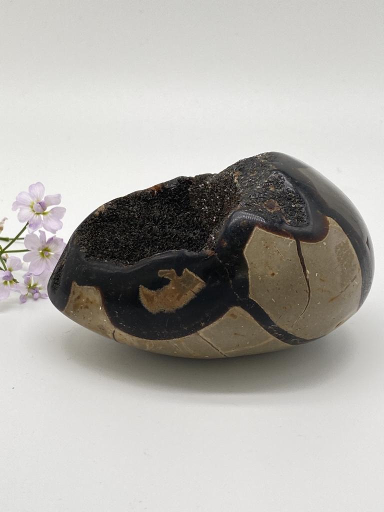 Septarian egg from Madagascar