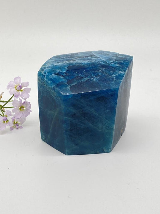 Apatite crystal polished