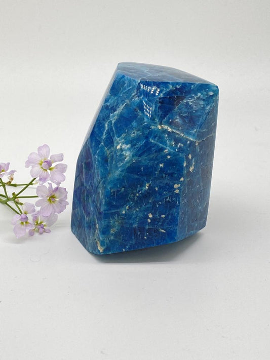 Apatite crystal polished