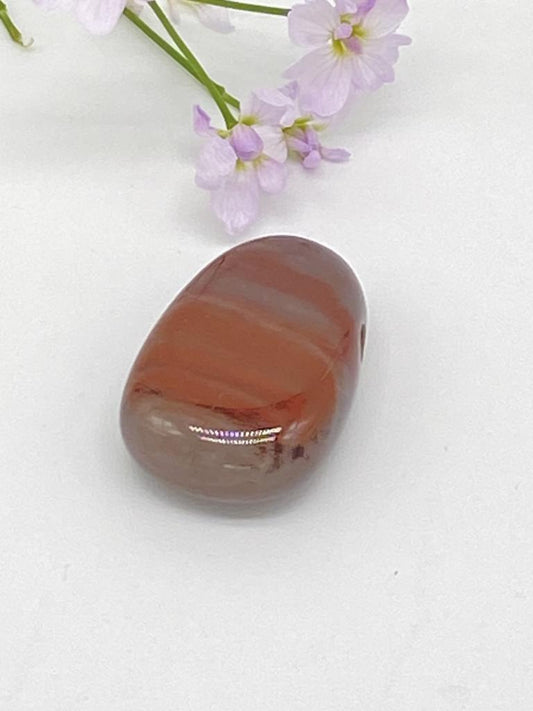 Petrified wood teardrop stone drilled