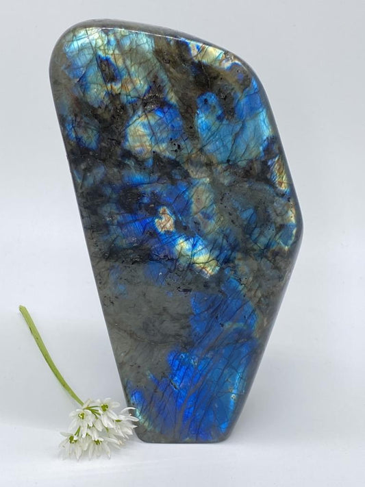 Labradorite polished