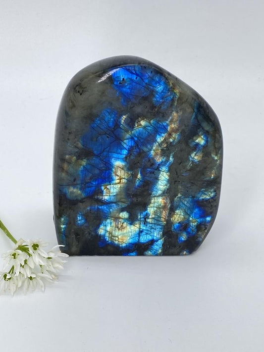 Labradorite polished