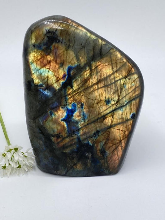 Labradorite polished