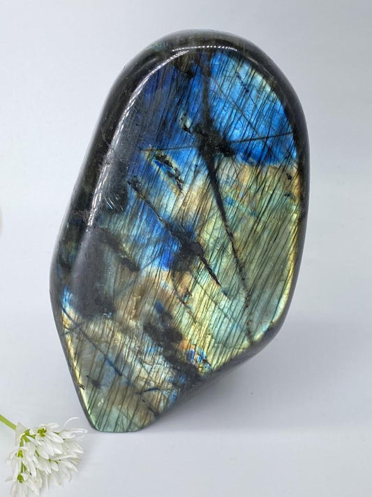 Labradorite polished