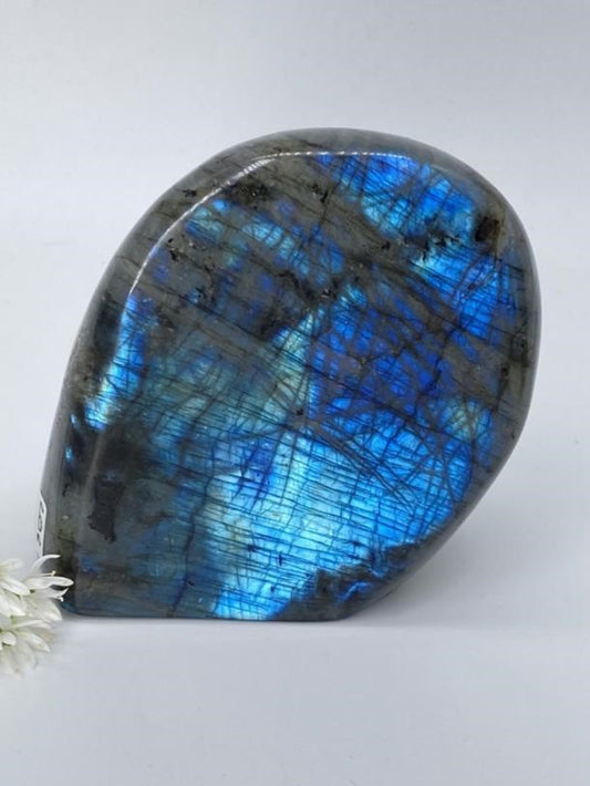 Labradorite polished