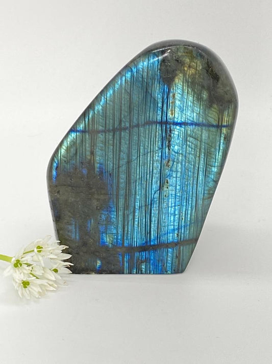 Labradorite polished