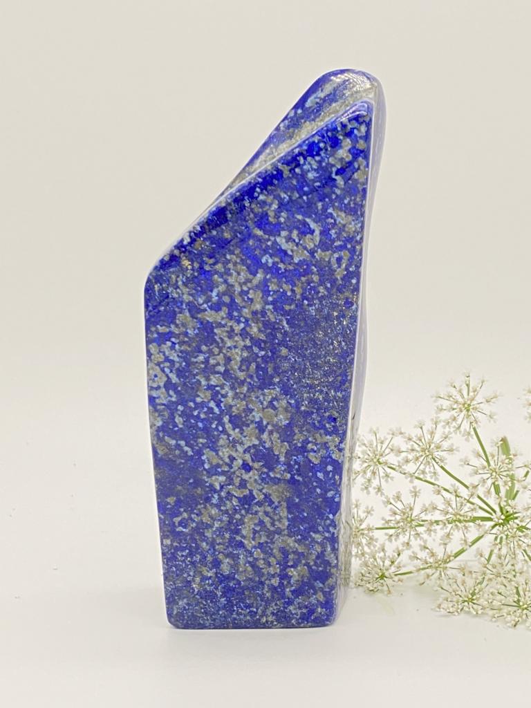 Lapis lazuli freeform polished 