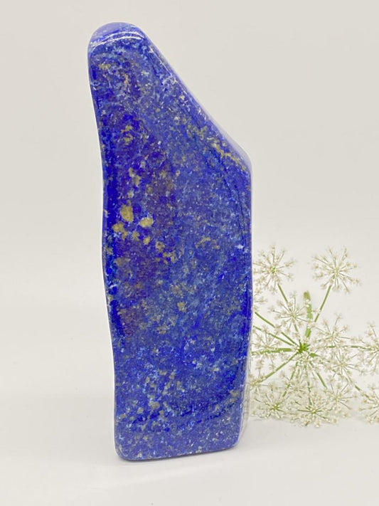 Lapis lazuli freeform polished 