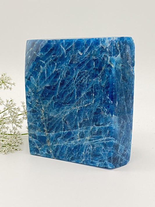 Apatite crystal polished