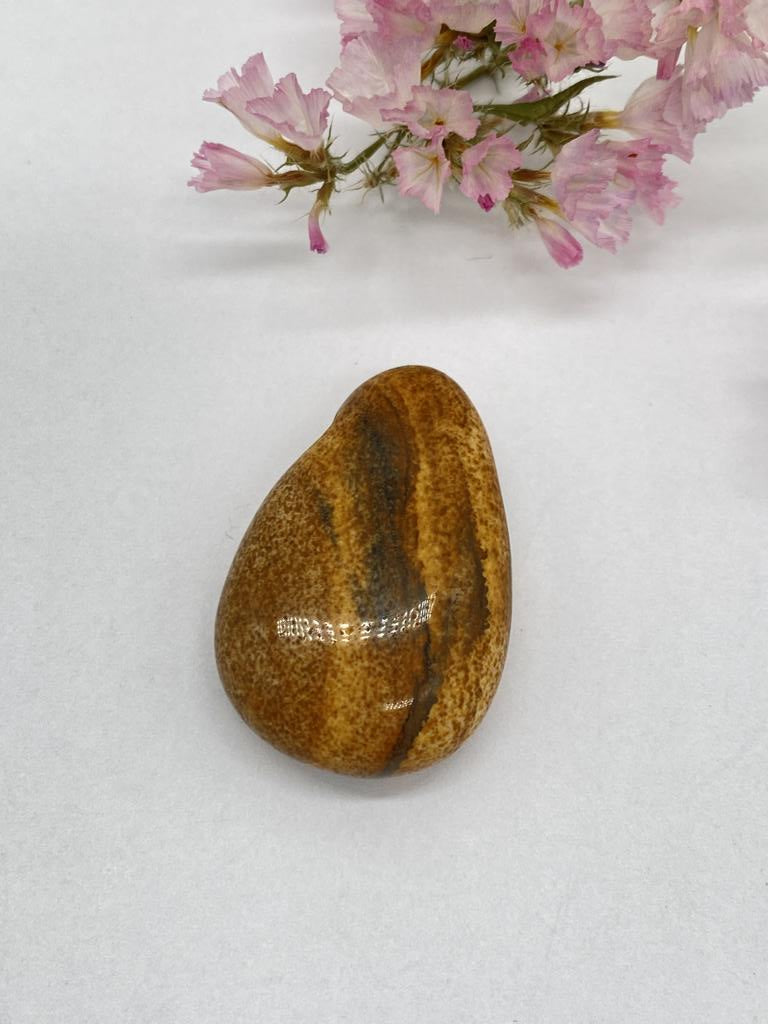 Landscape Jasper teardrop stone drilled